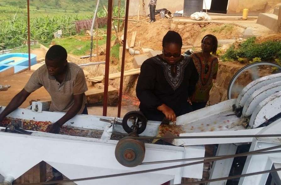 Die Perlen von Ruanda, angebaut von Frauen: Nova Cafè Des Mamas.