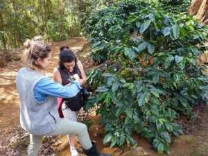 Video-Reisebericht: Durch die Plantagen von Espirito Santo, Brasilien