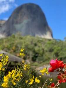 Video-Reisebericht: Durch die Plantagen von Espirito Santo, Brasilien