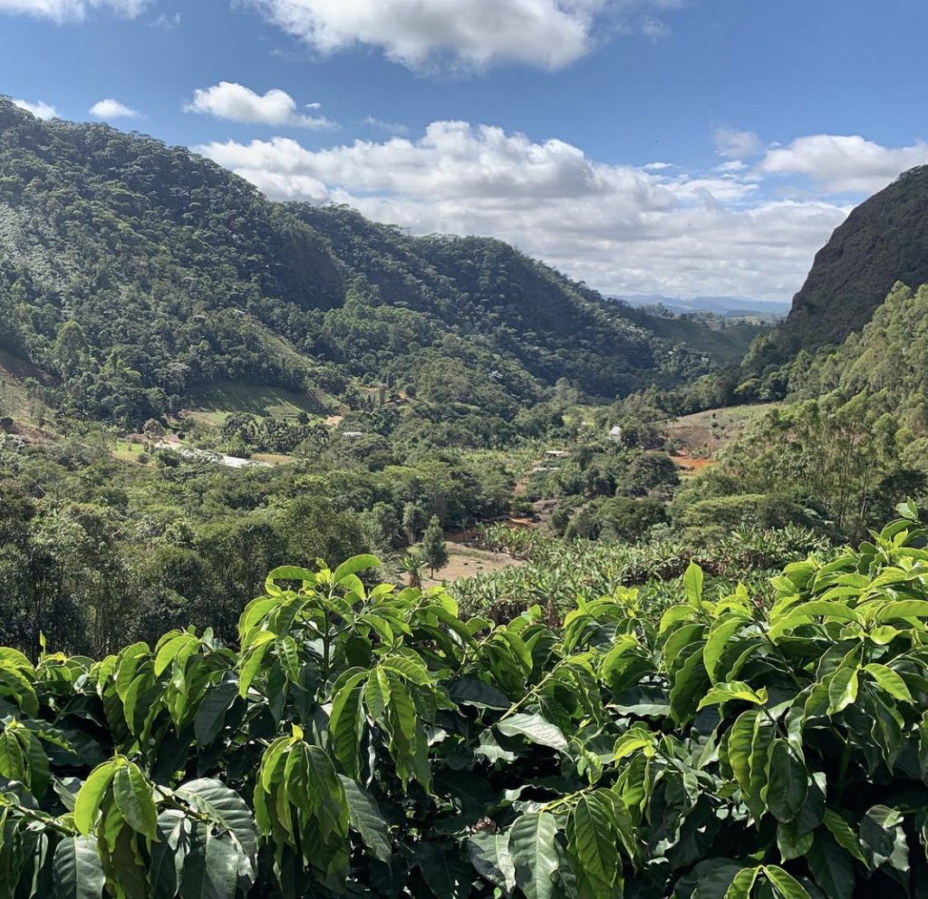 Unsere Reise nach Brasilien, auf der Suche nach dem besten Kaffee