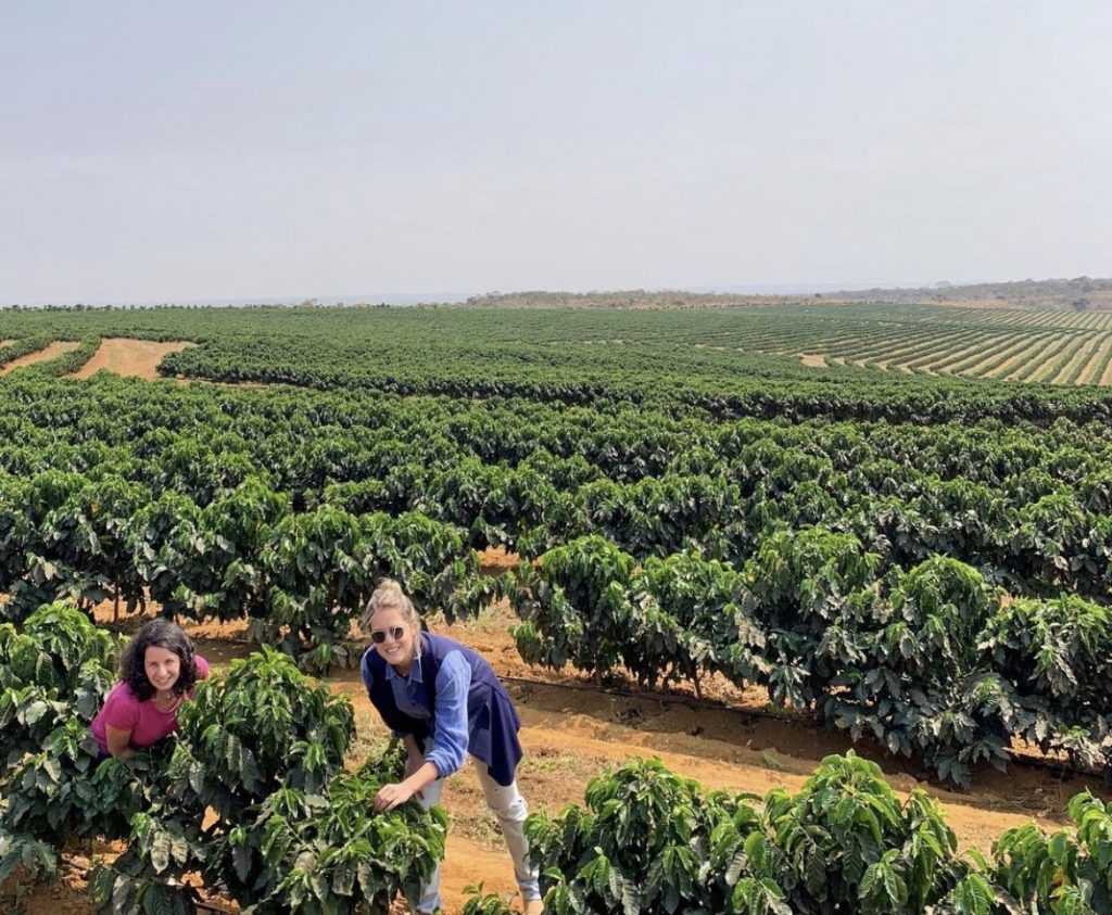 Unsere Reise nach Brasilien, auf der Suche nach dem besten Kaffee