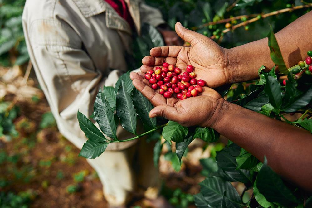 Internationaler Tag des Kaffees 2022